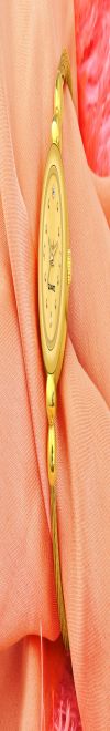 Analog Watch - For Women Whitebird_IGP06