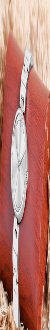 White Bird Analog Watch - For Women