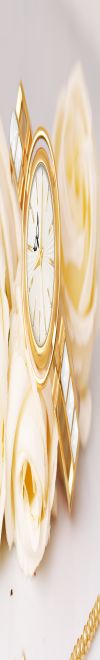 Whitebird Women's Watch, Silver/Gold, Analog Display