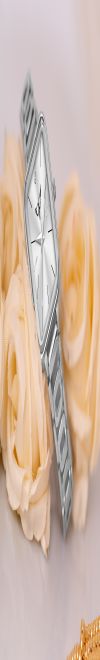 WHITE BIRD Women's Fashion Watches, Quartz Movement, Variety of Colors
