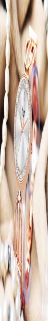 WHITE BIRD Premium Girl Wrist Watch Rose Gold Plated Analog Watch Diamond Studded Dial Stylish Bracelet Strap Stainless Steel Band Perfect for Women