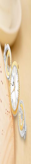 WHITE BIRD Women's Analogue Wrist Watch with Linked Band, 24 MM Pattern Dial