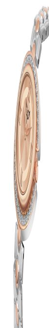 WHITE BIRD Women's Fashion Watches, Assorted Styles and Colors, Wrist Watches