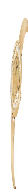 WHITE BIRD Analogue Wrist Watch for Women's