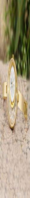 WHITE BIRD Women's Stylish Dail Analog Premium Analog Wrist Watch