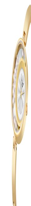 WHITE BIRD Women's Stylish Dail Analog Premium Analog Wrist Watch