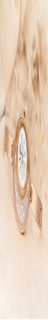 WHITE BIRD Women's Stylish Dail Analog Premium Analog Wrist Watch