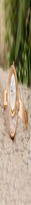 WHITE BIRD Women's Stylish Dail Analog Premium Analog Wrist Watch