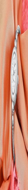 Analog Watch - For Women Whitebird_IGP06