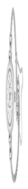Analog Watch - For Women Whitebird_IGP06